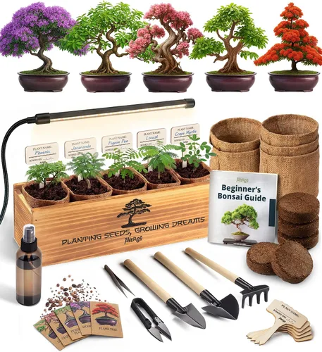 Miniatura 12 de AVERGO - Kit de árbol bonsái de lujo, 5 árboles bonzai japoneses únicos Kits completos de inicio de bonsái de interior para árboles en crecimiento