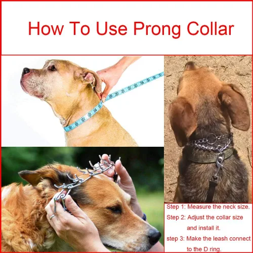 Miniatura 5 de Collares de púas para perros, collar de perro sin tirones, collar de entrenamiento para perros grandes, medianos y pequeños, de acero inoxidable