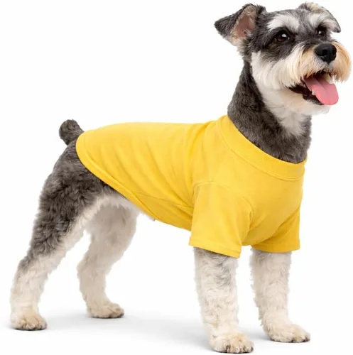 Lovelonglong Ropa para Mascotas Disfraces para Perros Camiseta Básica Lisa Camisetas para Perros Pequeños Amarillo L