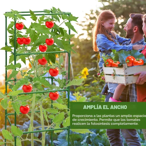 Miniatura 5 de Paquete de 3 Jaulas para Tomates, Estacas Cuadradas de Soporte para Plantas de Tomate, Jaulas Enrejado para Jardín, Verduras Trepadoras, Flores
