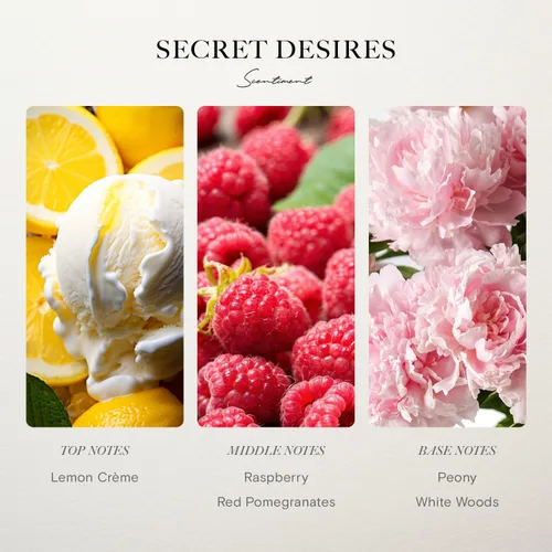 Miniatura 2 de Scentiment Secret Desires Aceite difusor – Aroma de hotel prémium con notas de peonía, granada y bosque blanco para el hogar, repuesto de difusor