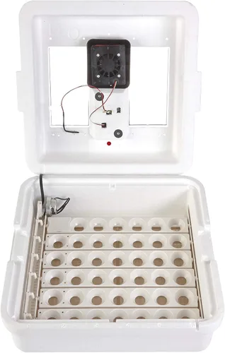 Miniatura 3 de Little Giant® Incubadora digital de aire fijo 41 huevos Incubadora de huevos con control de temperatura y humedad Incubadora de pollos