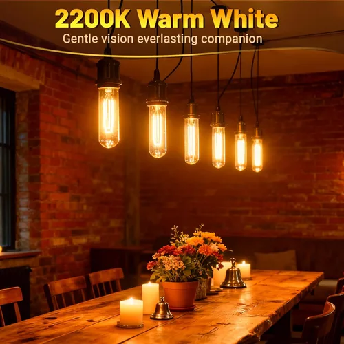 Miniatura 3 de Bombillas tubulares T10 de 25 W, bombilla incandescente, bombilla T10, 120 V, 25 W, 2200 K, bombillas de tubo E26, base media, regulables