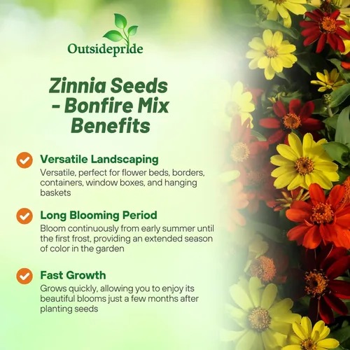 Miniatura 3 de Outsidepride - Zinnia Elegans, 50 semillas anuales, Marylandica Zahara Bonfire Flower Seed Mix, mezcla de semillas de flores para plantar