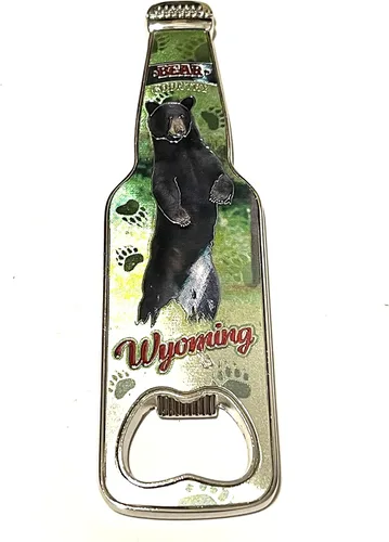 Miniatura 3 de SUREG - Imán de abrebotellas de recuerdo en forma de botella, varios estados y ciudades, coleccionable, diseño de collage retro, recuerdo Chicago