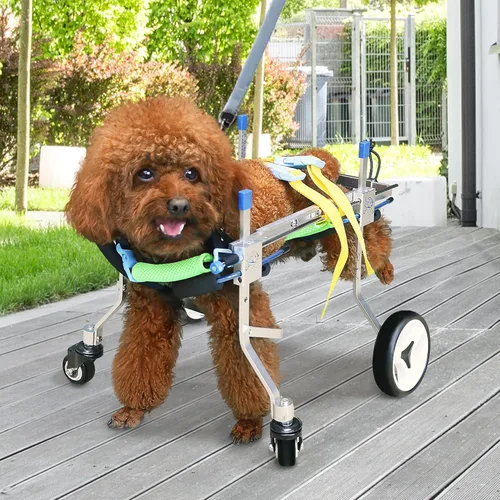 Miniatura 6 de Silla de ruedas ajustable para perros con cuatro ruedas, remolque de bicicleta de movilidad ligera para mascotas discapacitadas, fácil de montar