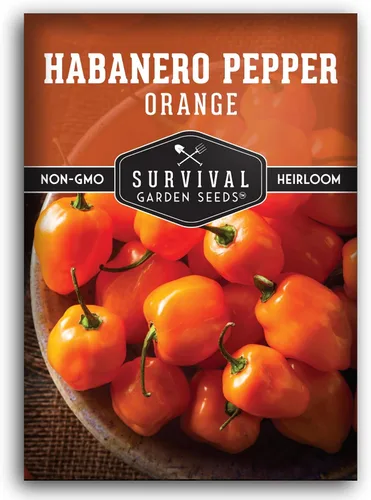 Survival Garden Seeds - Semillas de pimiento habanero naranja, chile afrutado extremadamente picante para plantar, variedad tradicional sin OMG para