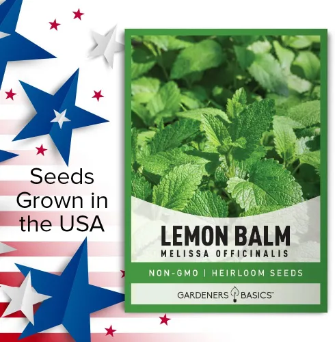 Miniatura 6 de Gardeners Basics Semillas de bálsamo de limón para plantar hierbas, (Melissa Officinalis) en interiores y exteriores, variedad de hierbas