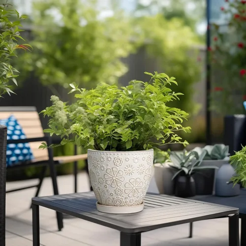 Miniatura 4 de MPotTo Maceta de 6.9 pulgadas con orificio de drenaje y platillo de cerámica para plantas de interior, maceta para orquídeas y suculentas