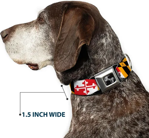 Miniatura 7 de Collar de perro hebilla de cinturón de seguridad Maryland Banderas 9 a 15 pulgadas 1.0 pulgadas de ancho