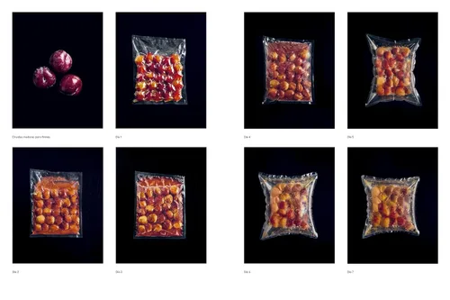 Miniatura 4 de La guía de fermentación de Noma: Incluye koji, kombuchas, salsas shoyu, misos, vinagres, garum, fermentos lácticos y frutas (Foundations of Flavor)