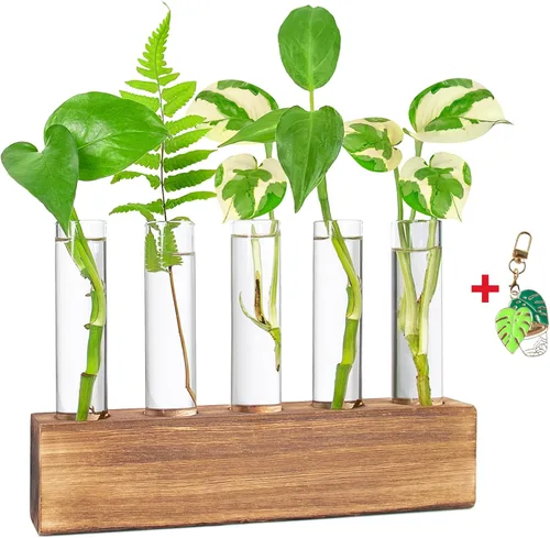KAXYEW - Estación de propagación de plantas, tubos de propagación de plantas, regalos para amantes de las plantas, soporte de tubo de ensayo, jarrón