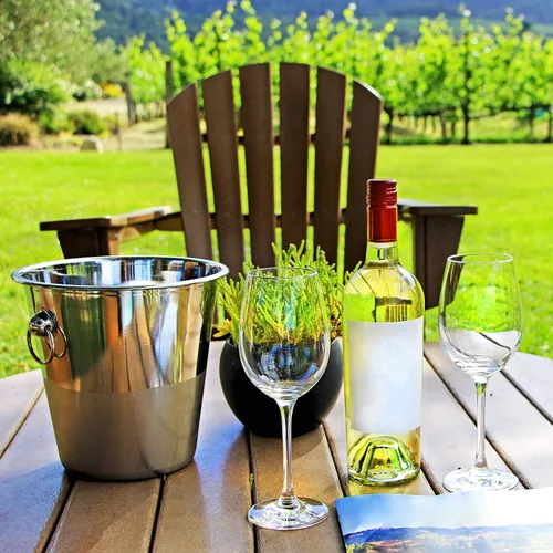Miniatura 4 de Tiger Chef Juego de cubos de vino - Cubo de champán - Bañera para bebidas: incluye dos cubos de acero inoxidable de 4 cuartos de galón y sacacorchos