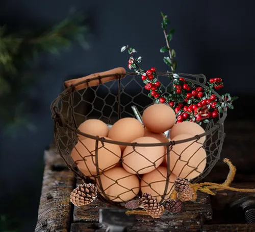 Miniatura 7 de TAIANLE. Cesta de huevos de alambre para recoger huevos frescos con asa, cesta redonda de metal para coleccionar huevos de estilo vintage, Malla