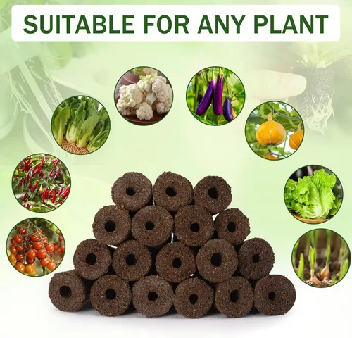 Miniatura 3 de DECYOOL Cápsulas de semillas de jardín, kit de 48 cápsulas hidropónicas: kit de cultivo de cualquier cosa con 12 cestas de cultivo, 12 esponjas