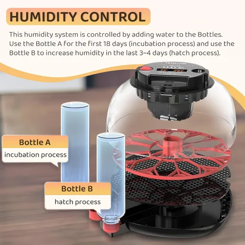 Miniatura 4 de Incubadora de 12 huevos para incubar huevos con giro de huevos completamente automático, control de humedad por botellas, incubadoras para pollo