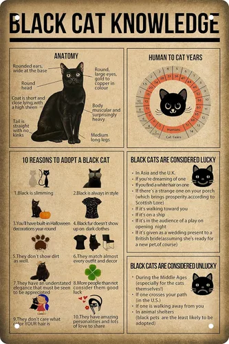 Cartel divertido con cita de conocimiento de gato negro, carteles de metal vintage para dormitorio, letreros familiares para decoración del hogar,