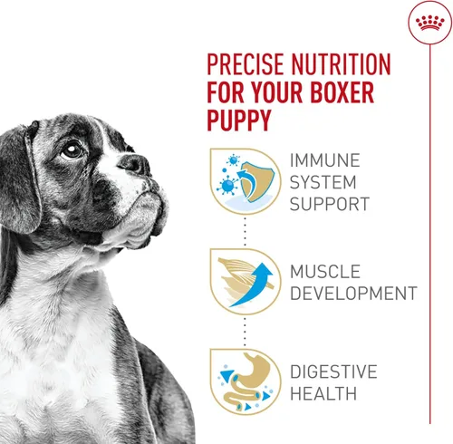 Miniatura 4 de Royal Canin Breed Health Nutrition Boxer - Alimento seco para perros, bolsa de 30 libras