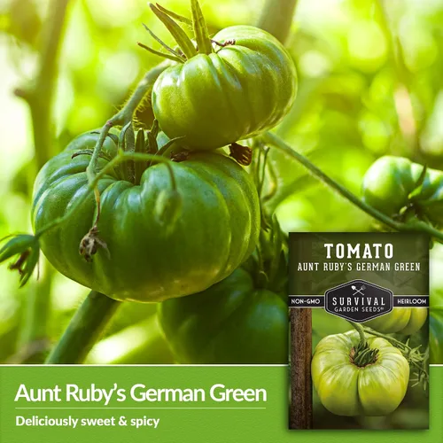 Miniatura 4 de Semillas de tomate verde alemán Aunt Ruby para plantar, variedad indeterminada con sabor dulce, tomates de polinización abierta sin OMG, semillas