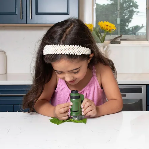 Miniatura 4 de Carson MicroBrite - Microscopio de bolsillo con luz LED 20x-40x para aprender, educar y explorar, juego de 6 (MM-24MU)