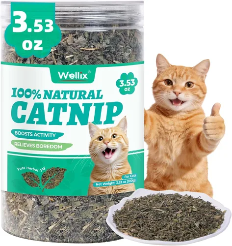 Miniatura 8 de Wellix Hierba gatera fresca para gatos, hojas secas naturales, flores y tallos, aroma fresco, utilizado como golosinas o juguetes recargables