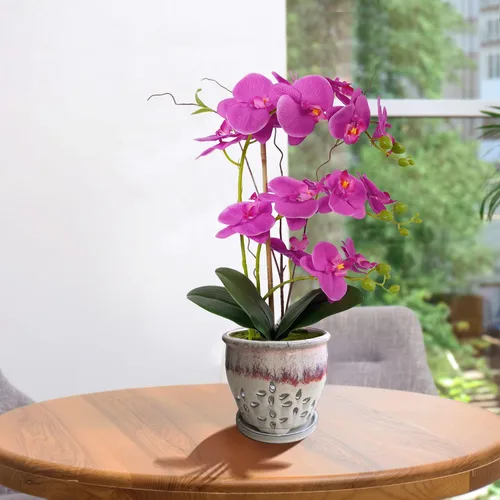 Miniatura 3 de Macetas de orquídeas de 7 pulgadas con agujeros, recipiente redondo de cerámica para suculentas, maceta de mariposa, platillo para alféizar