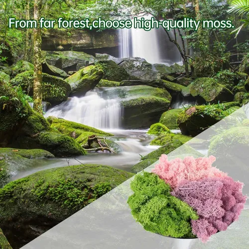 Miniatura 5 de Musgo vivo natural de 9 onzas, musgo falso para plantas en macetas y terrarios, arte y decoración de bodas (verde, morado, rosa)