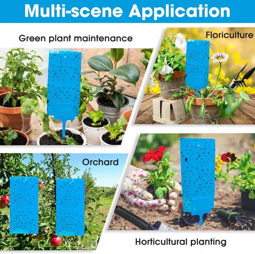 Miniatura 6 de 220 trampas adhesivas de doble cara para insectos voladores de plantas voladoras para interiores y exteriores, como mosquitos de hongos, moscas Azul