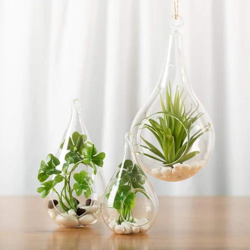 Miniatura 7 de WGV - Planta colgante de vidrio terrario a granel, ancho 3.5 pulgadas, altura 7 pulgadas, lágrima de bricolaje, maceta de aire para suculentas, luz