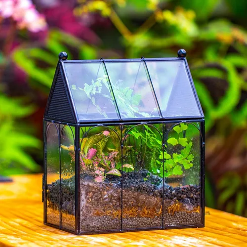Miniatura 8 de NCYP Pequeño recinto de terrario de vidrio con malla para arañas saltadoras, plantas suculentas en forma de micro casa, terrario, decoración