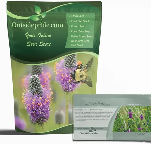 Miniatura 8 de Outsidepride Semillas de trébol de pradera blanca – 1/4 lb. Semillas perennes para plantar, fáciles de cultivar, tolerantes a la sequía y al calor