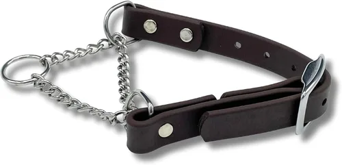 Collar de Martingala para Perros, Biothane, Herrajes de Acero Inoxidable, Sin Tirones, Fabricado en EE. UU., Grado Profesional, Grande, Marrón