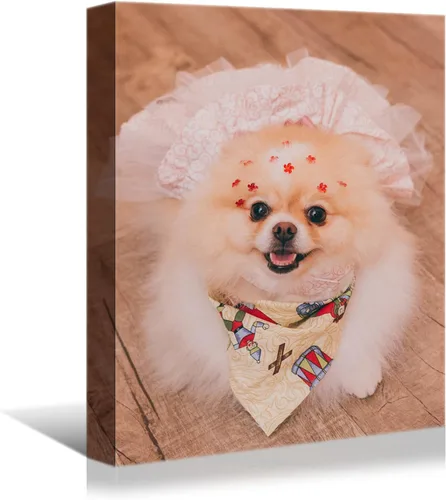 Miniatura 24 de Laoife Pintura en Lienzo Personalizada 30x30 cm Sube Imágenes, Impresiones en Lienzo Personalizadas con tus Fotos, Regalos Personalizados de Niños