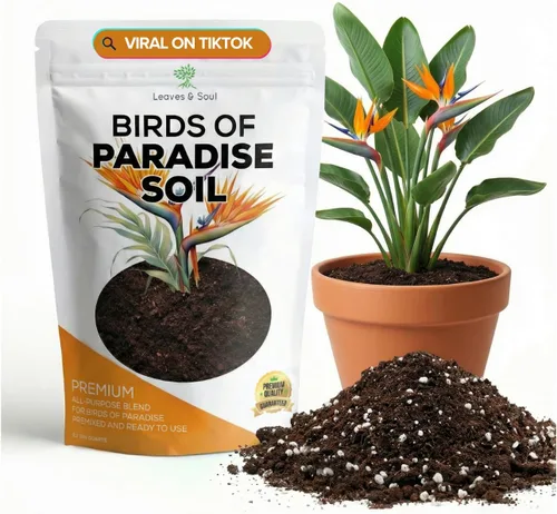 Bird of Paradise - Mezcla profesional para macetas de 2.2 cuartos de galón, lista para usar, tierra de interior premium para plantas de aves del