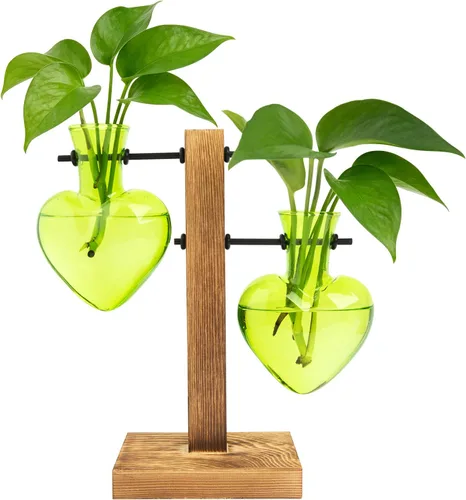 Miniatura 11 de HUABEI - Terrario con soporte de madera para plantas, globo de cristal para maceta, jarrón giratorio de metal, soporte de mesa retro