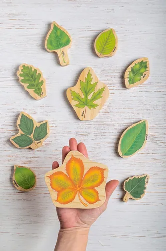 Miniatura 6 de THE Freckled Frog Hojas apilables - Juego de 10 - Edades 12 meses - Bloques de hojas de madera - Doble cara - Ilustraciones que muestran hojas