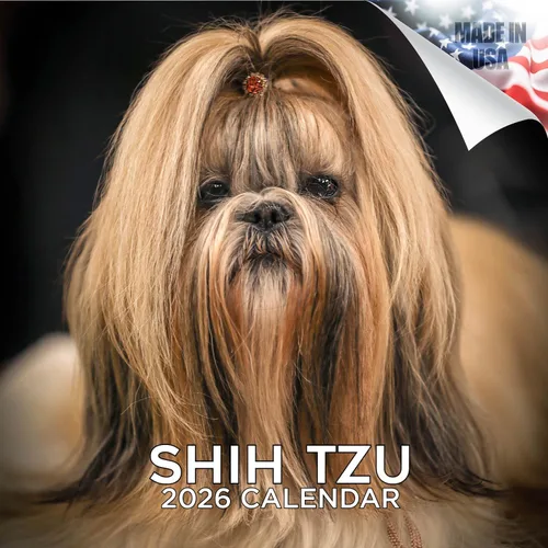 Razas de Perros 2017 Shih Tzu