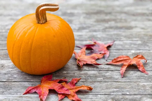Miniatura 4 de Semillas de calabaza a granel para plantar, 1 libra, más de 4,000 semillas tradicionales sin OMG, semillas de calabaza de alta germinación