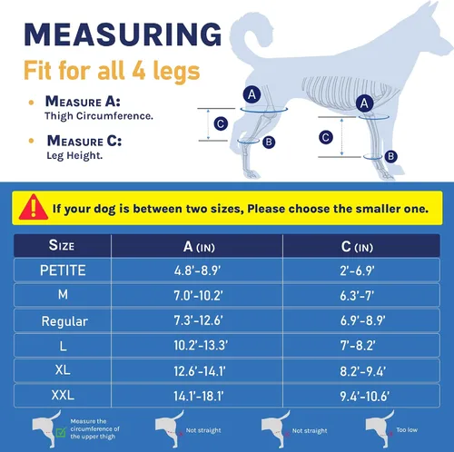 Miniatura 3 de Rodillera para perro para desgarro de ACL y soporte de pierna trasera – Soporte ajustable para cadera y pierna de perro para ligamento cruzado