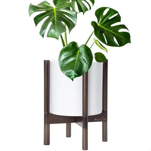 Miniatura 50 de Maceta de D'vine Dev con soporte - Maceta de flores de cilindro de plástico de 8.0 pulgadas con soporte de madera para interiores, maceta mate negra