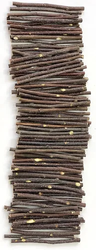 Miniatura 10 de ECOVENIK 25 piezas – Ramas – 28.7 in, ramitas de abedul natural, paquete de 20-25 tallos, largo para jarrones de suelo, (color marrón natural)