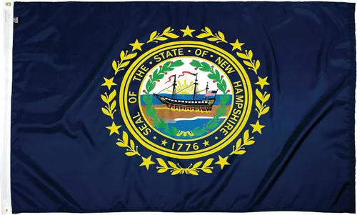 Miniatura 50 de FlagSource Bandera del estado de nailon de Iowa, fabricada en los Estados Unidos, 4 x 6 pies Iowa 4x6