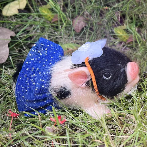 Miniatura 4 de OtardDolls Reborn Piggy Dolls, 5 pulgadas de silicona completa suave realista mini muñecas de cerdo, mini muñecas de cerdo realistas recién nacidos