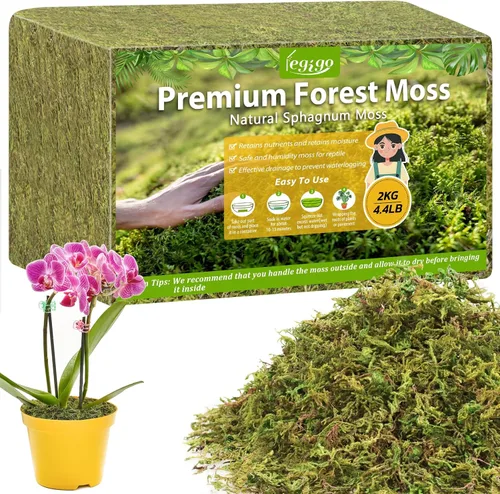 Miniatura 10 de Legigo Musgo esfagnum de 3.5 onzas para plantas, mezcla para macetas de musgo de orquídea natural de 4 cuartos de galón, mezcla seca, musgo
