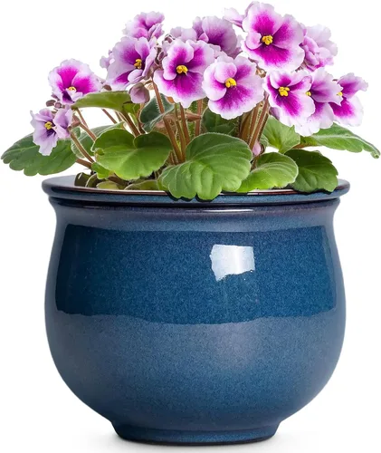 Miniatura 11 de Macetas de riego automático de 6 pulgadas para plantas de interior, macetas de cerámica violeta africana con maceta interior absorbente, maceta