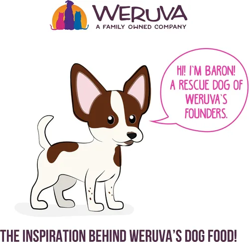 Miniatura 6 de Weruva Best Fido Friend Comidas de Tamaño Divertido para Perros, Wham Bam, Taza de 2.75oz, Paquete de 12