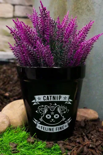 Miniatura 6 de Ebros Gift Wicca Brujería Gótica Magia Maceta de Cerámica Negra, Contenedor Floral Alquímico Oculto, Jardinera para Alquimista, Florero, Pulgar