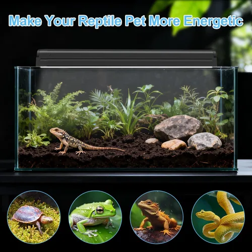Miniatura 7 de LUCKY HERP Kit Combo de Lámpara UVB T5 de 8W para Reptiles (Nueva Actualización), Luz UVB 10.0 para Reptiles y Anfibios, Lámpara de Calentamiento