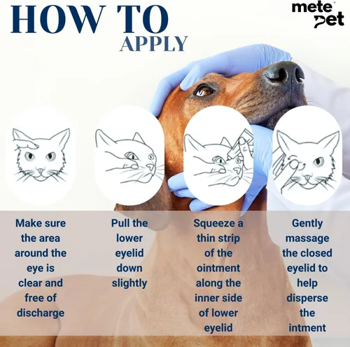 Miniatura 6 de Vetromycin pomada oftálmica para mascotas para perros y gatos 1/8 oz /5gr, 1 tubo - Cuidado ocular diario suave, aplicación tópica fácil