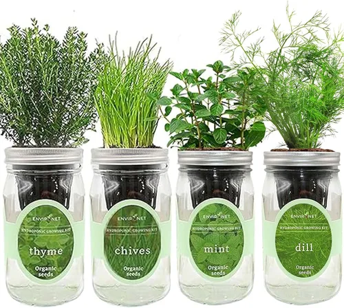 Miniatura 9 de Kit de cultivo de hierbas hidropónicas, tarro de masón de riego automático, kit de inicio de jardín de hierbas para interiores, cultiva 4 tipos